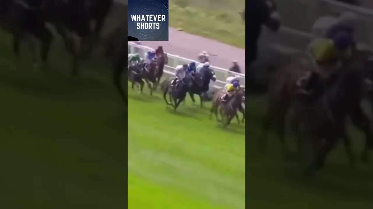 Horse still wins after rider gets sabotaged #shorts #horse #racing #win