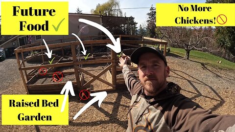 It's Finally here! No more Chickens in the Garden!