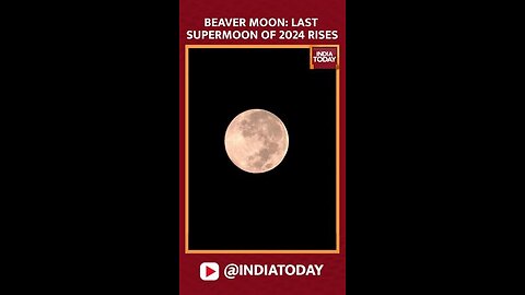 Last Supermoon Of The Year 'beaver Moon' Dazzled The Sky On The Intervening Night Of November 15-16