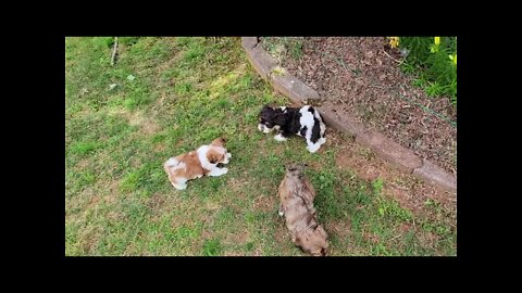 & Then There Were 7 🥲(2)