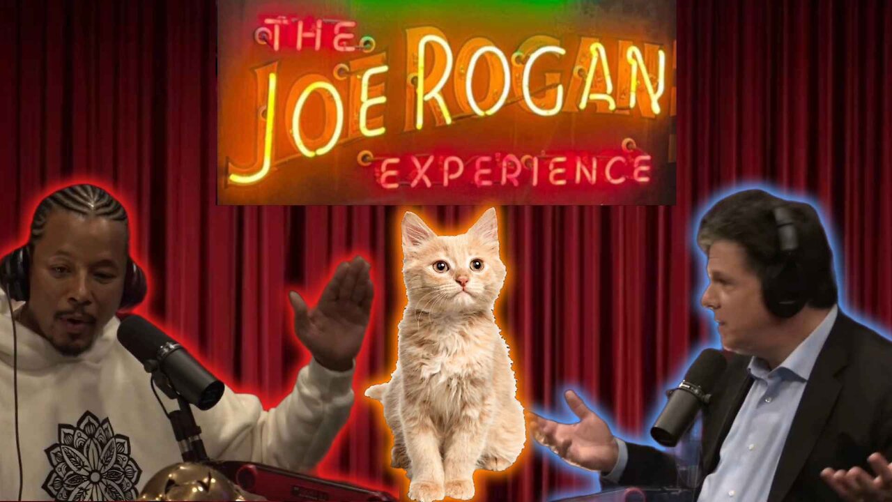 DISTINGUISHED JOE ROGAN MATHMATION USES SELLING OFF CATS TO EXPLAIN MATH