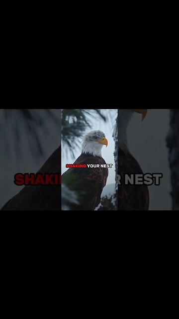 Motivational status 💯#motivation #motivational #god