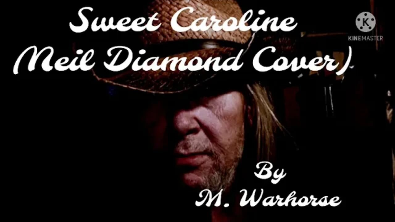 Sweet Caroline (Neil Diamond cover)