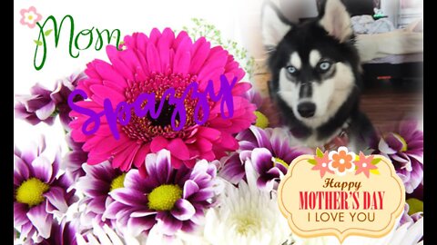 My Husky, My Best Friend - Mother's Day 2022