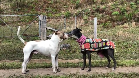 Elsa and Henry play while we visit Arthur’s grave