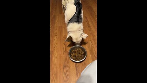 Why does she do this?