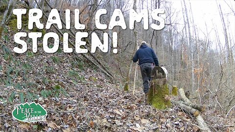 Trail Cams Stolen! E-133