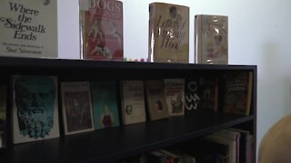 Downtown bookstores participate in first ever Lansing Book Crawl