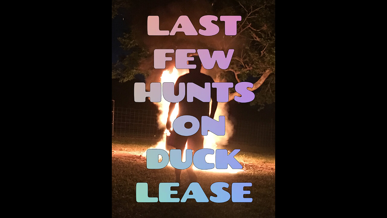 LAST DUCK HUNTS ON SPOT I LEASED gulf coast marsh waterfowl hunting