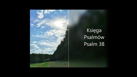 Księga Psalmów - Psalm 38