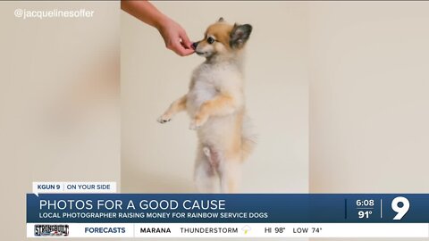 Photographer donates proceeds from pet pics to Rainbow Service Dogs