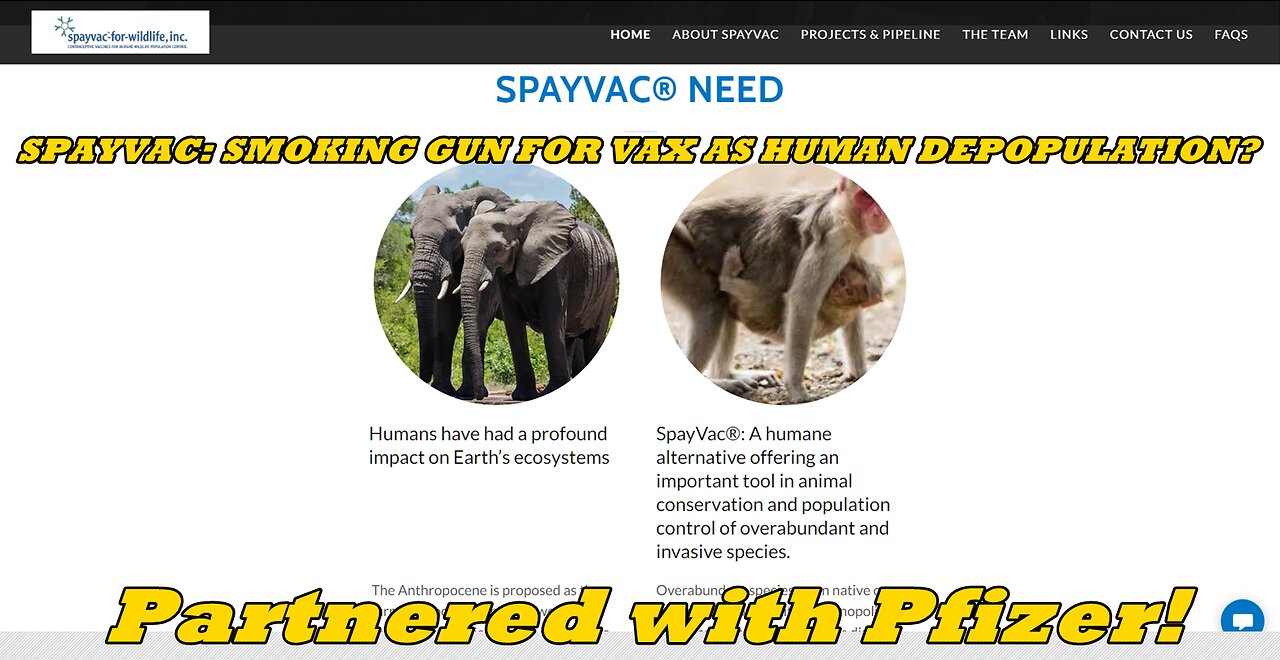 SPAYVAC: SMOKING GUN FOR VAX AS HUMAN DEPOPULATION?