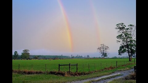 rain and nature sounds enjoy watching