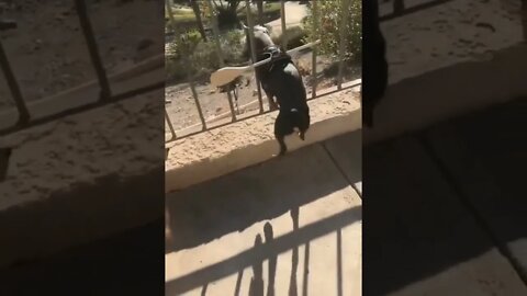 Anti escape