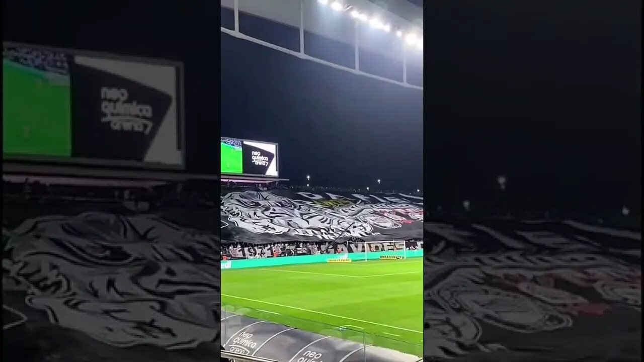 O PODER DA ARENA CORINTHIANS 🔥🦅 #shorts #corinthians #timão