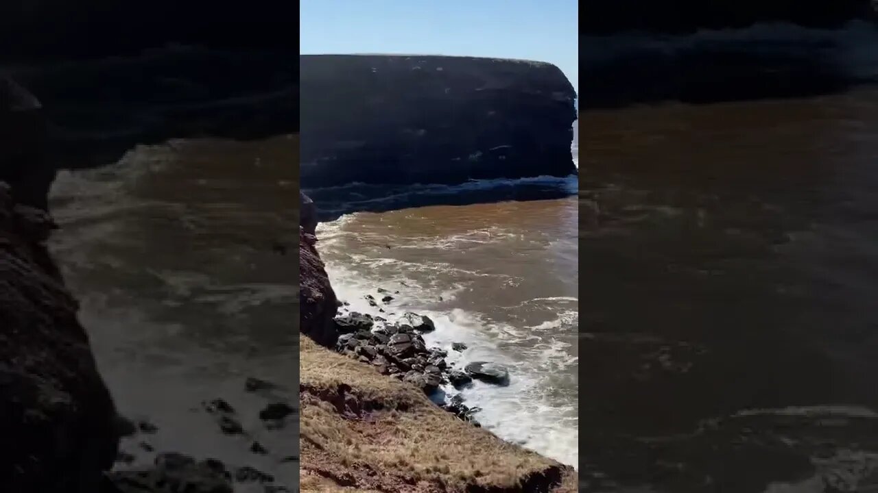 The perks of living on an island