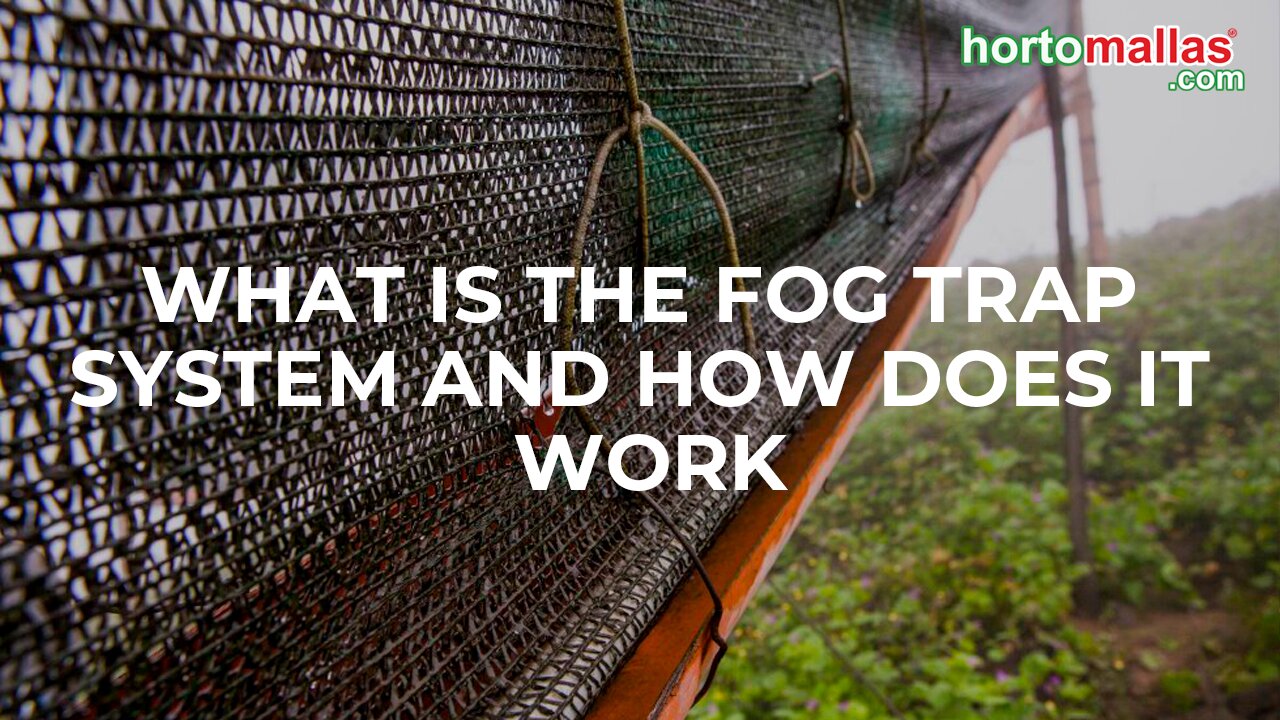 What is the fog trap system and how does it work