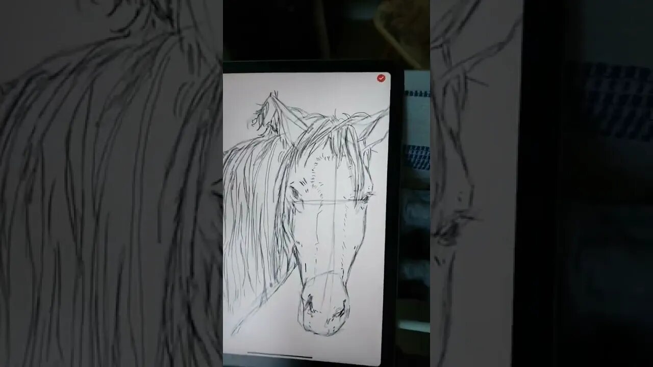 How to Draw Horse Head? 🐴 - Daily Art nr.118🖌️