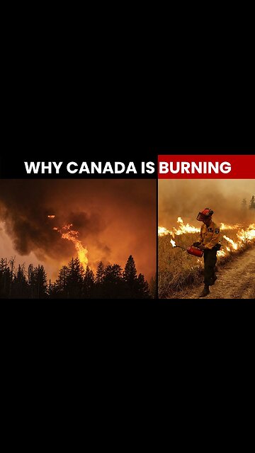 Canada fires 🔥 you are being lied to