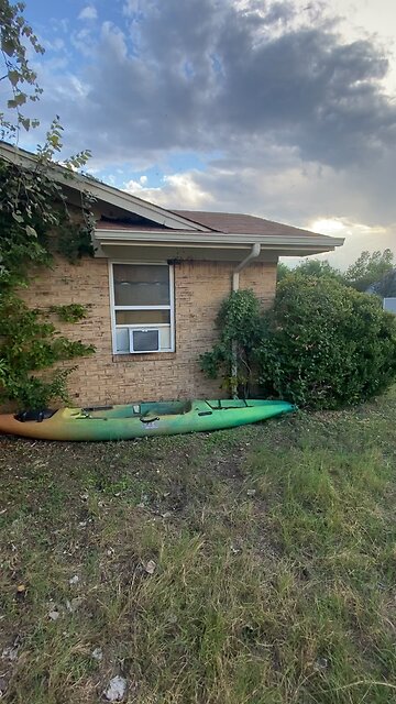 Bee rescue at Roberts house