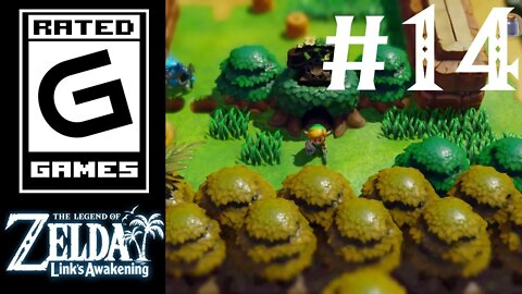 Legend of Zelda: Link's Awakening - Part 14 - Baby Steps