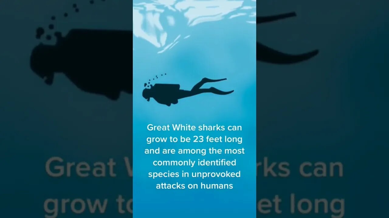 It's Shark Week! Learn how about these magnificent creatures at | Upcoming News