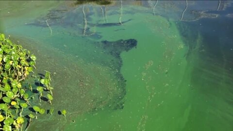 Lake Okeechobee water release guidelines delayed.