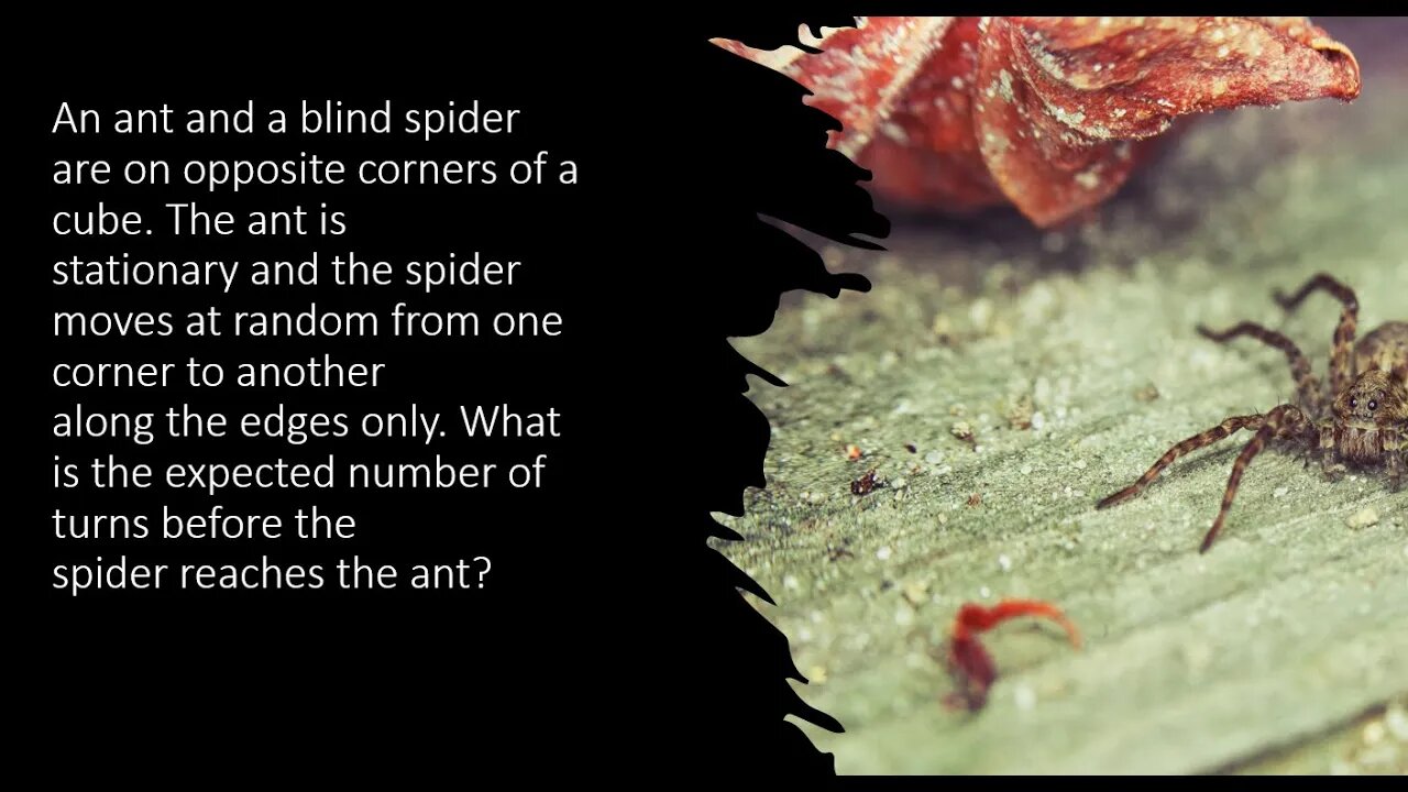 An ant and a blind spider are on opposite corners of a cube