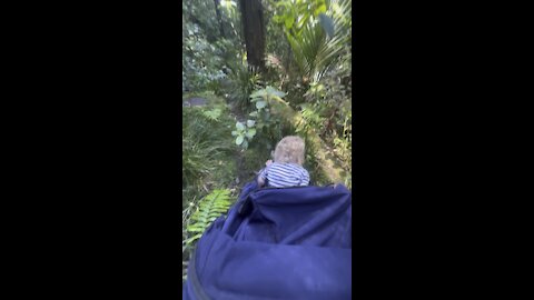 A rough little kiwi bush walk with my baby Alena