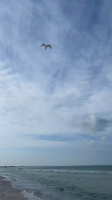 swimmin in ☀️ shine