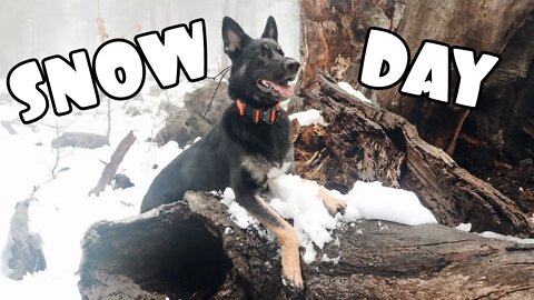 Mt. Laguna Snow Adventure With My German Shepherd - Quarantine Vlog