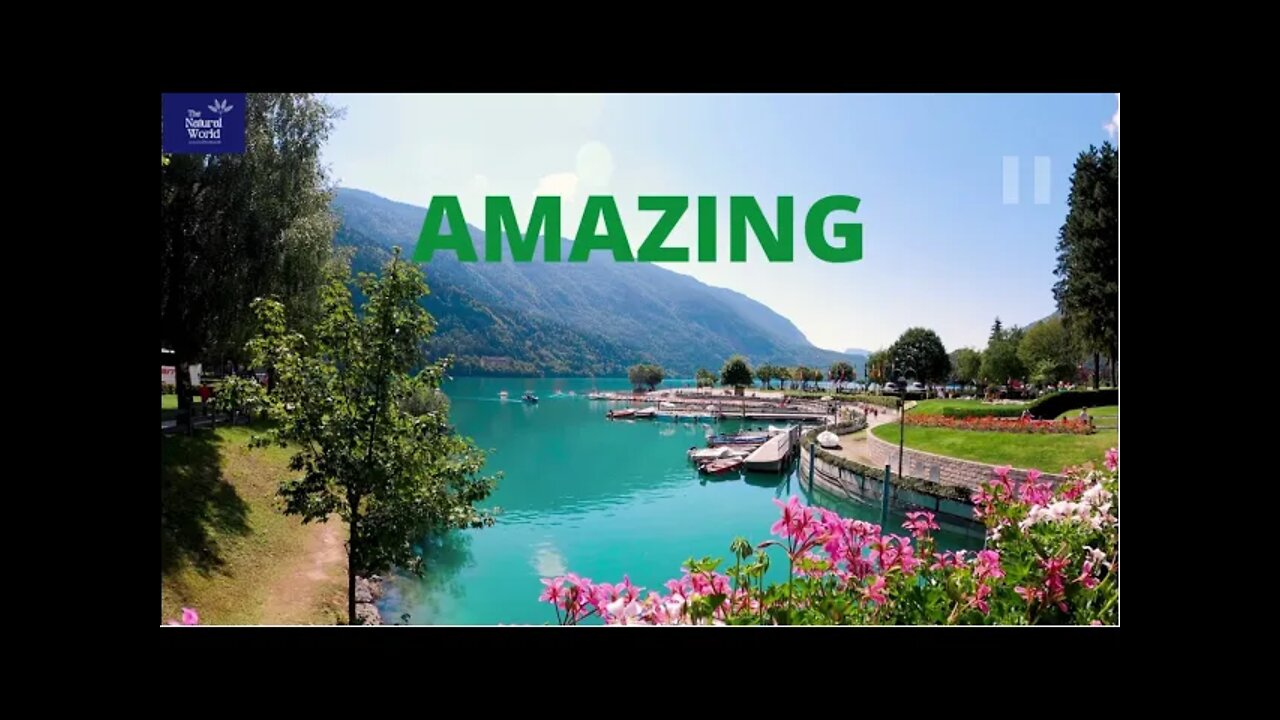 AMAZING NATURAL WORLD 4K UHD