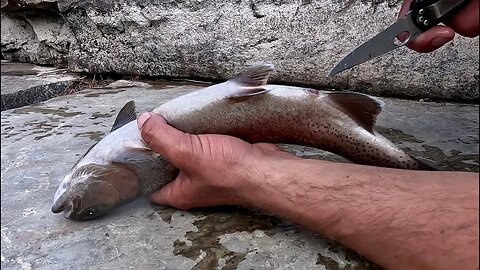 My new catch and cook video