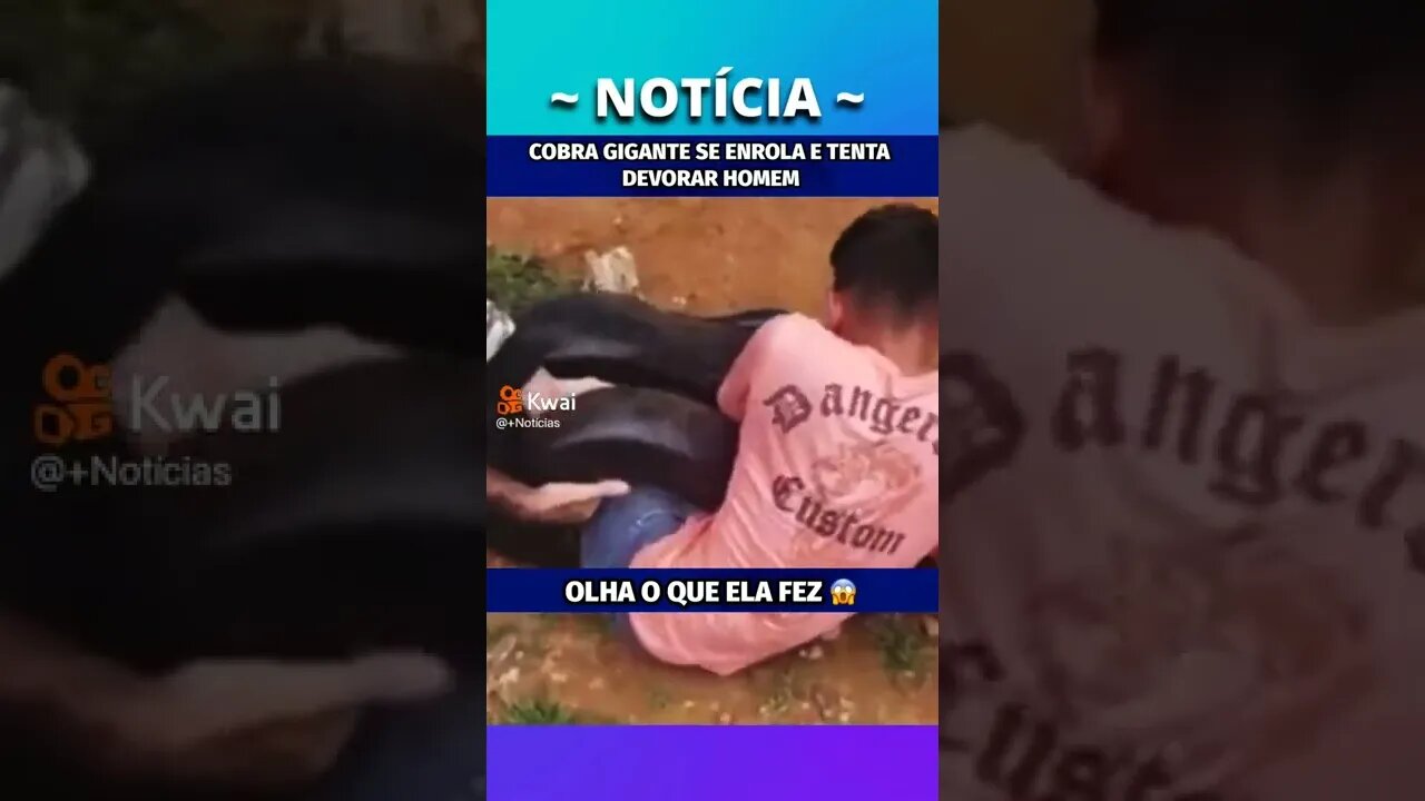 homem pego por cobra gigante #shorts