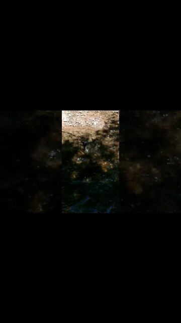 ASMR | Nature Sounds | Water