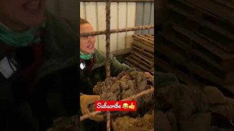 This SMELL is WRETCHED! 💩#shorts #viral #tiktok #short