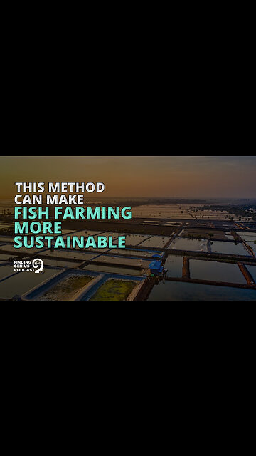 This Method Can Make Fish Farming More Sustainable