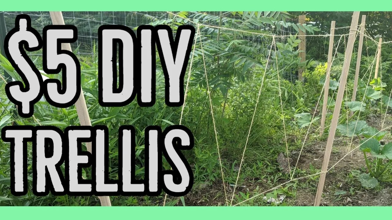 DIY How to Make an Easy Garden Trellis ||$5||