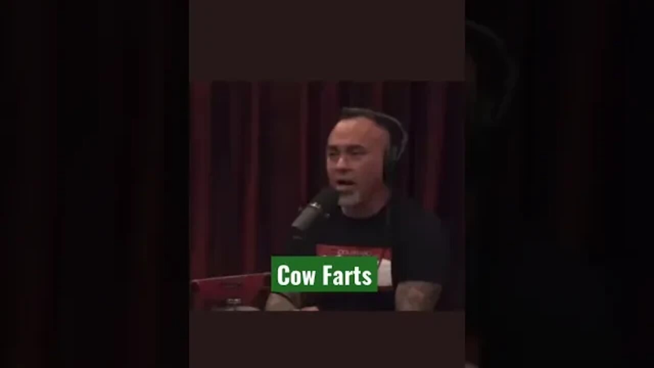 Joe Rogan on Cow Farts