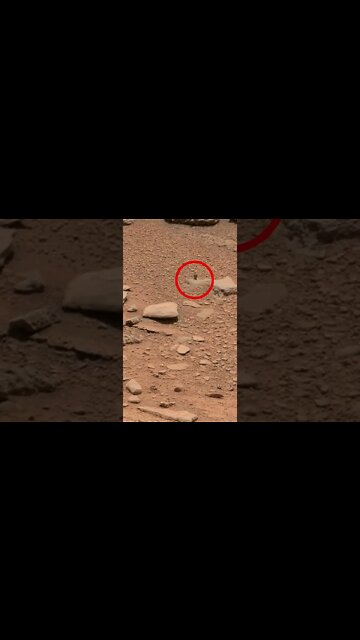 Som ET - 78 - Mars - Curiosity Sol 318 #shorts
