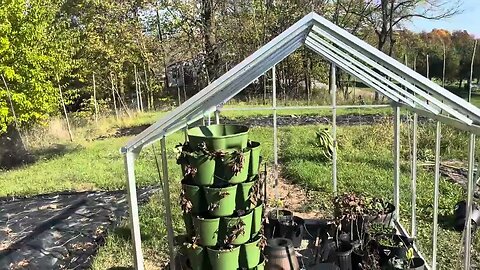 Sneak peak at Harbor Freight Green House 2 electric boogaloo