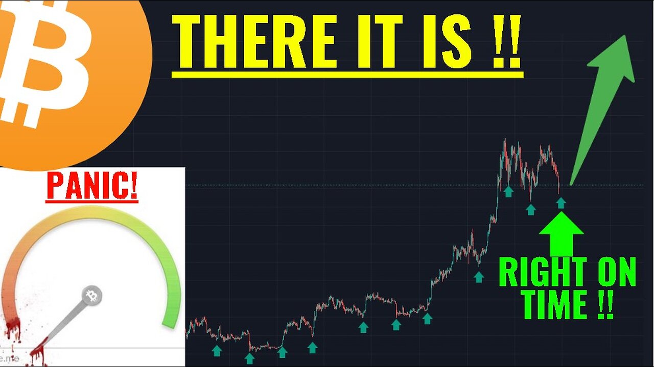 Bitcoin Cycle Low Arrives on PEAK FEAR !!