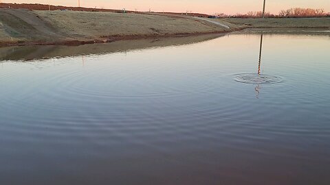 The pond