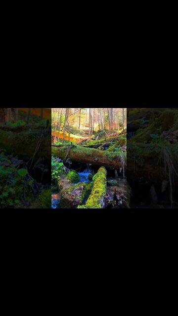 Best Relaxing Sound & Video | Water Steam | #shorts