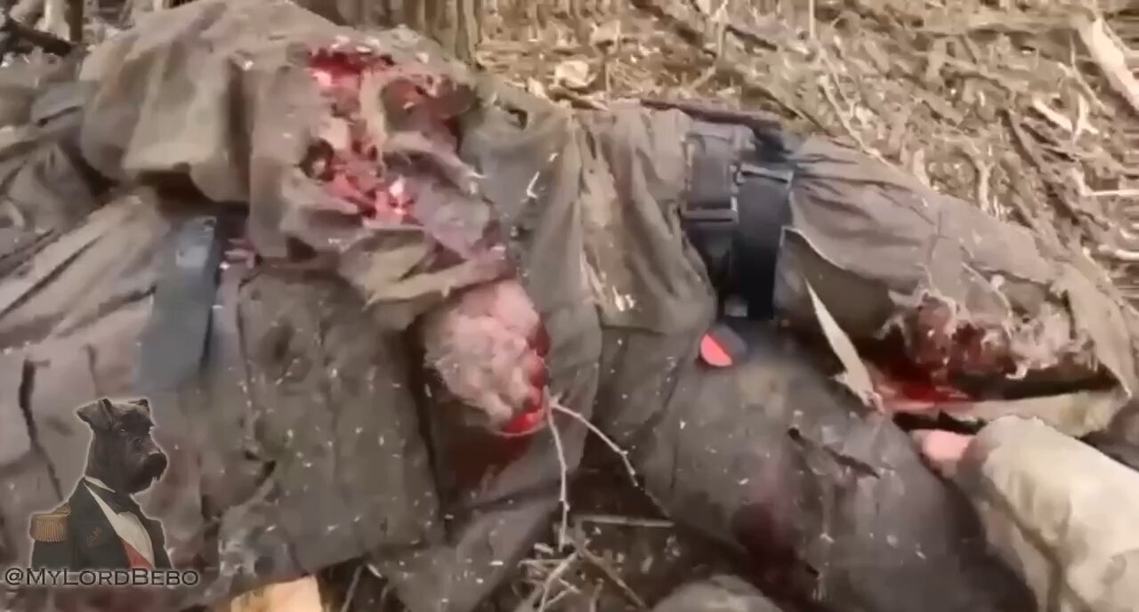 “Kill me, don’t torture me. Kill me. Ukrainian soldier begs the medic to kill him