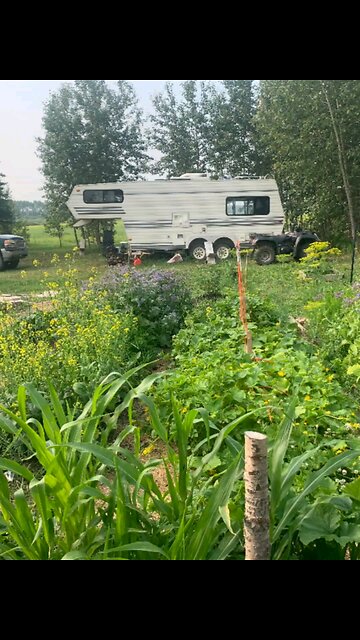 life with a homeless canuck