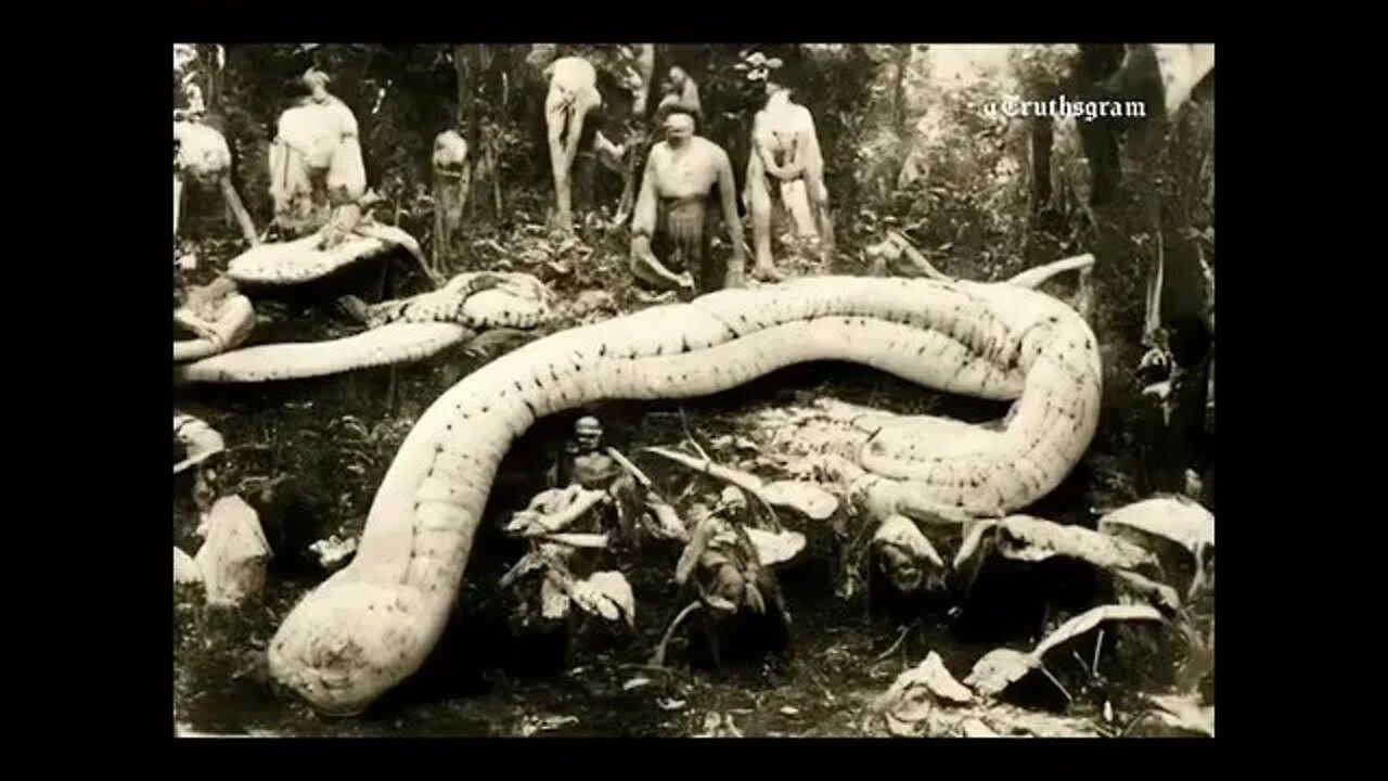 ۳۱ ژوئیهٔ ۲۰۲۲