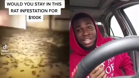 Can you stay in a rat infested room for a 100k?