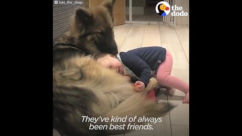 Baby loves to sleep with adorable dog