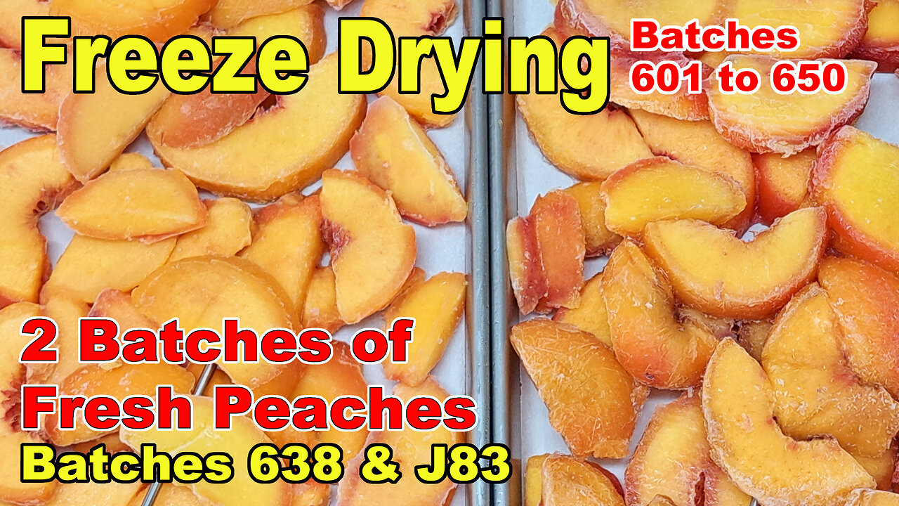 Freeze Drying Fresh Peaches - Batches 638 and J83